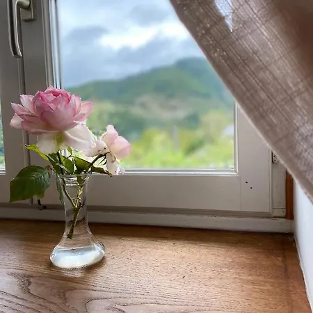 Le Clos St Georges Entraygues-sur-Truyère