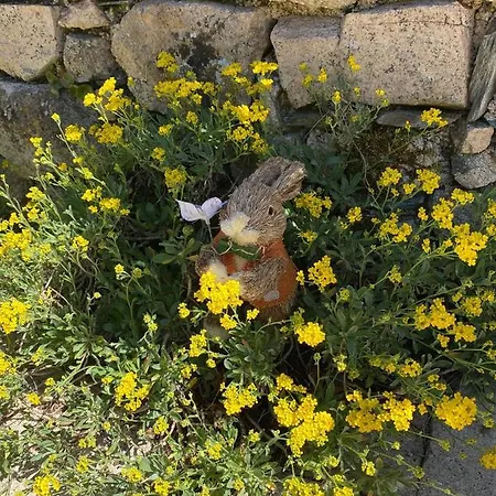 בית הארחה Le Clos St Georges