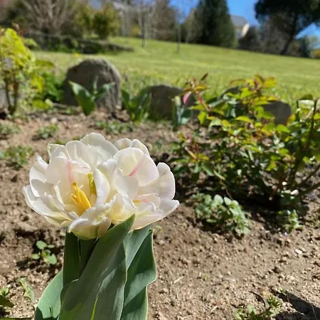 Gæstehus Le Clos St Georges Entraygues-sur-Truyère