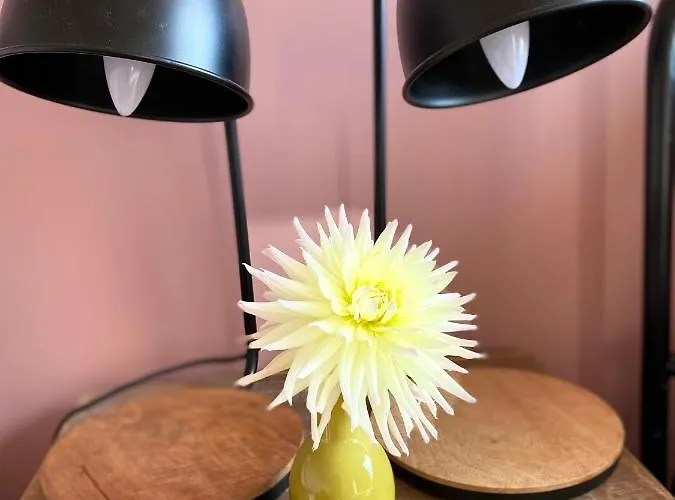 Maison d'hôtes Le Clos St Georges Entraygues-sur-Truyère